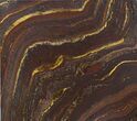 Tiger Iron Stromatolite Shower Tile - Billion Years Old #48793-1